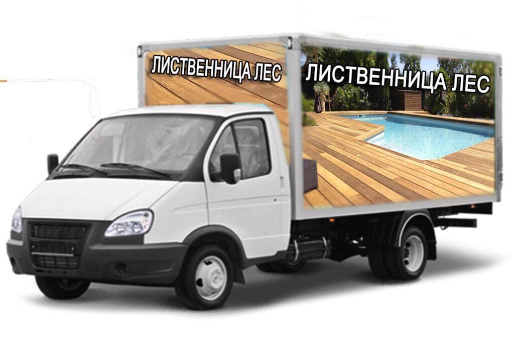 Доставка-лиственница лес